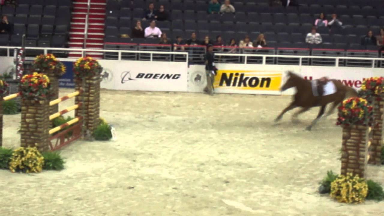 Chaos at the Washington International Horse Show